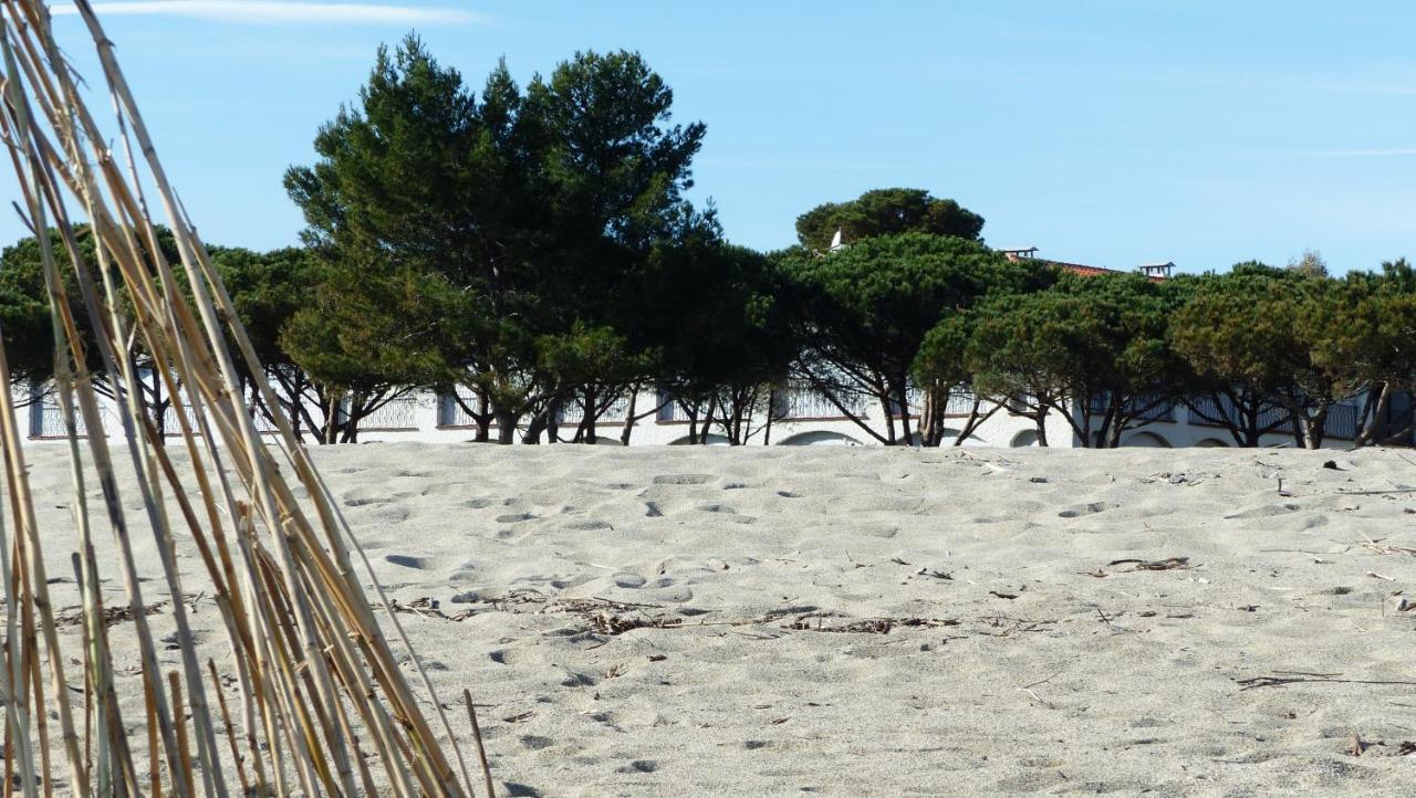 Belle Vue Sur Mer Au Calme أرجيليه- سور- مير المظهر الخارجي الصورة